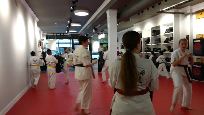 Bushido School of Karate Picture 1