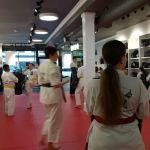 Bushido School of Karate