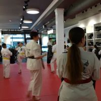 Bushido School of Karate ico