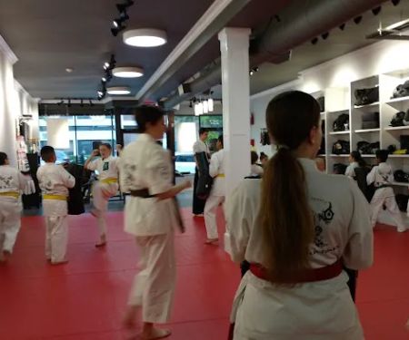 Bushido School of Karate