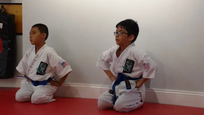 Bushido School of Karate Picture 3