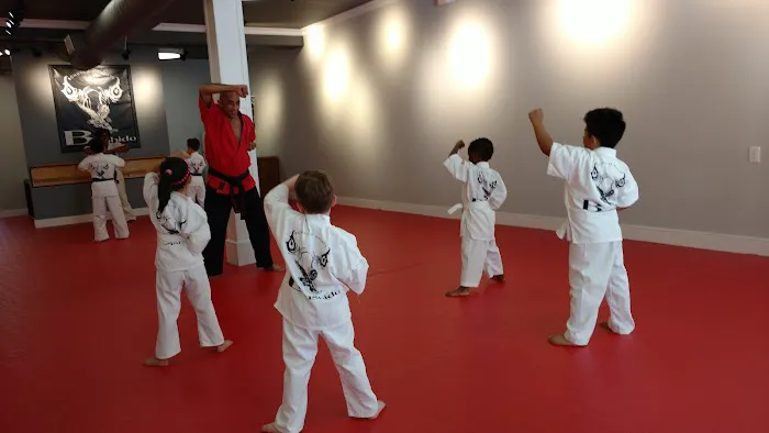 Bushido School of Karate Picture 4
