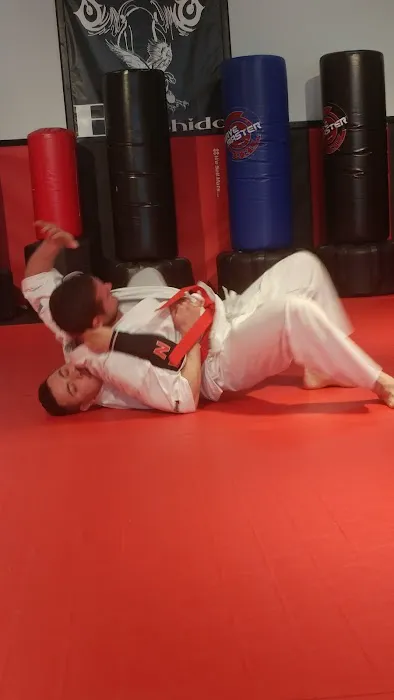 Bushido School of Karate Picture 8