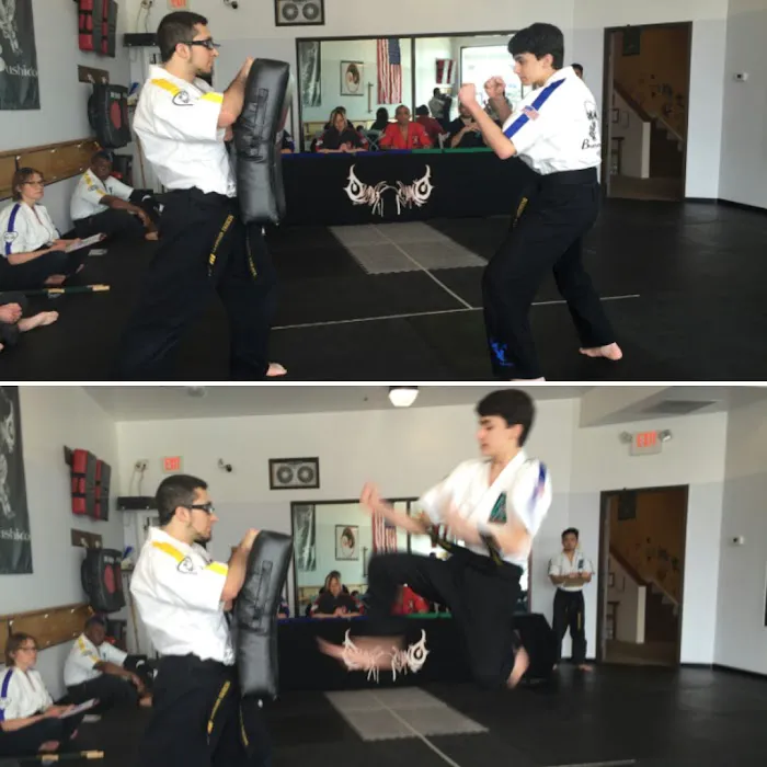 Bushido School of Karate Picture 9