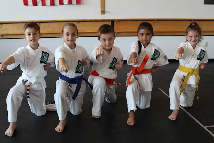 Bushido School of Karate Picture 10