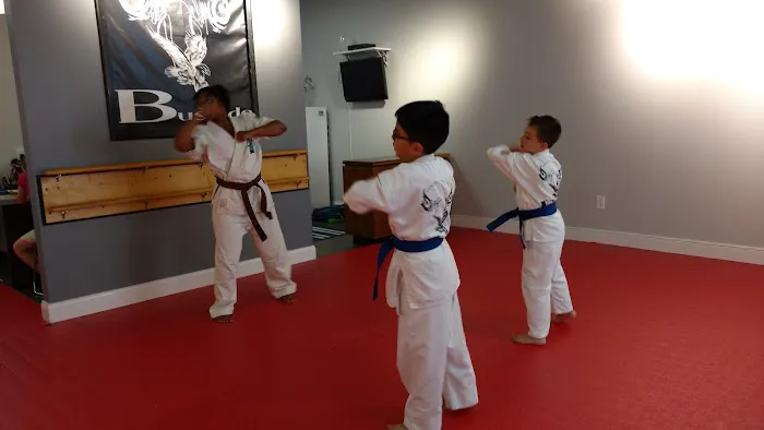 Bushido School of Karate Picture 6