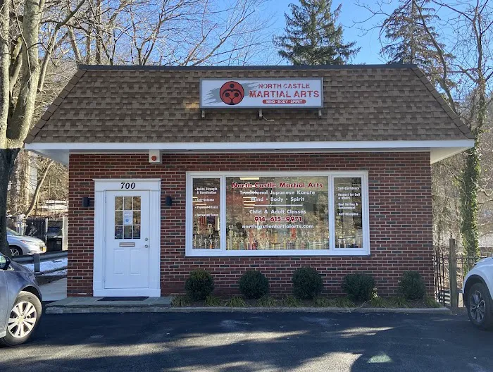 North Castle Martial Arts Picture 1