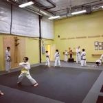 The Impact of Social Media on the Tae Kwon Do Community