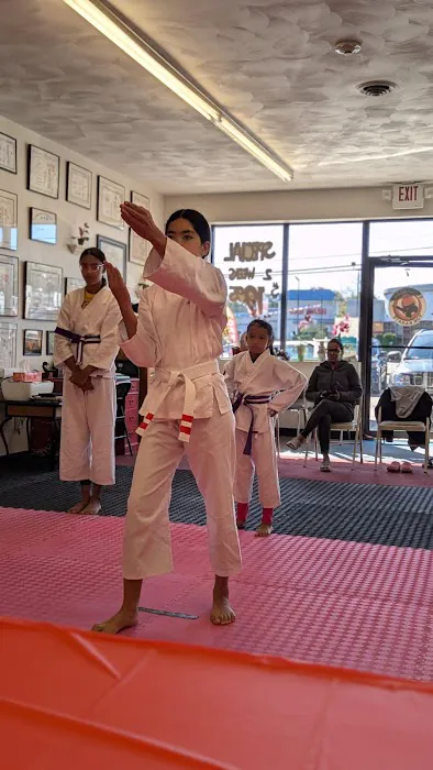 Ed Oakley's TOK Karate Picture 2