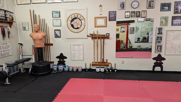 Ed Oakley's TOK Karate Picture 8