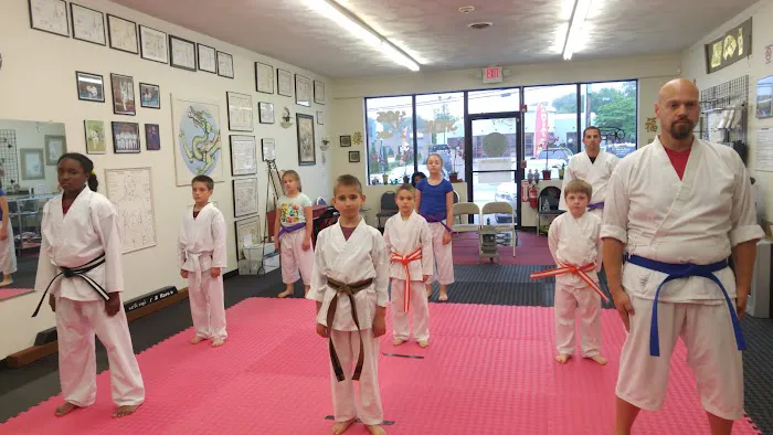 Ed Oakley's TOK Karate Picture 5
