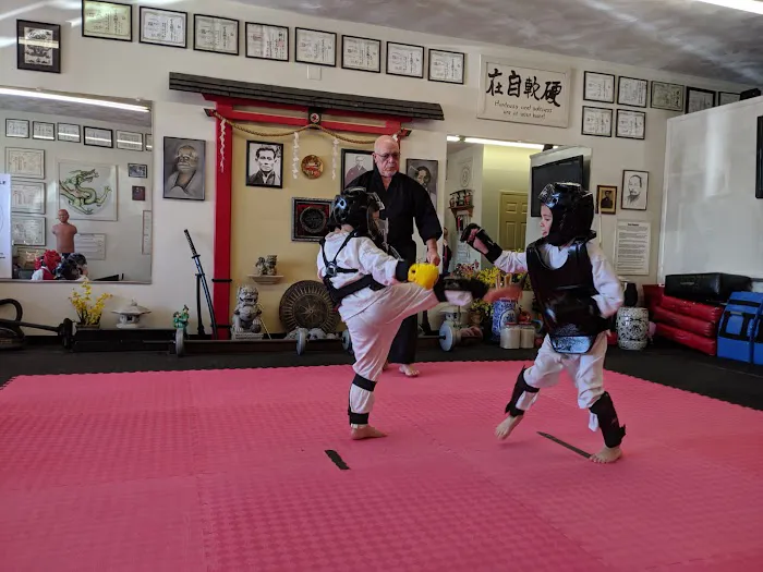 Ed Oakley's TOK Karate Picture 10