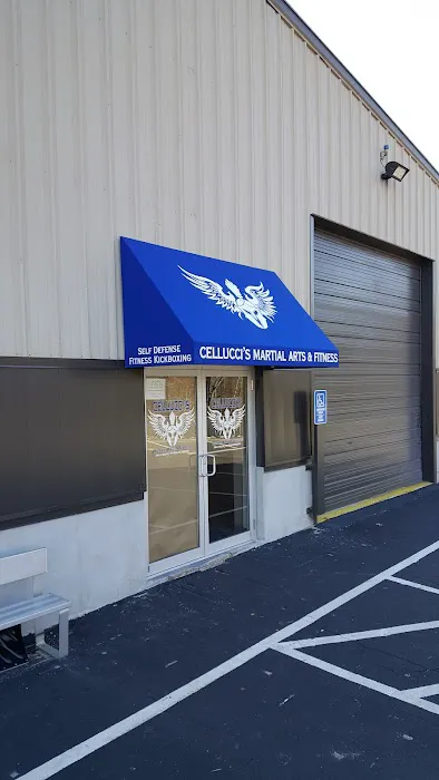 Cellucci's Martial Arts & Fitness Picture 3