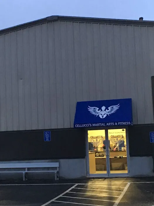 Cellucci's Martial Arts & Fitness Picture 2