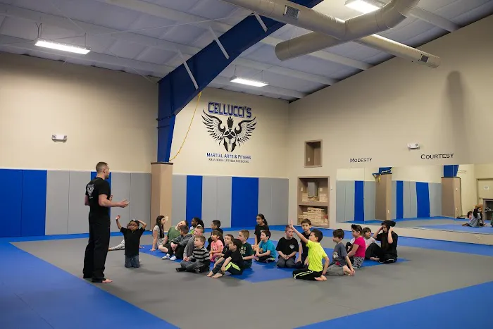 Cellucci's Martial Arts & Fitness Picture 10