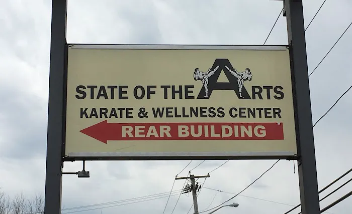 State of the Arts Karate and Wellness Center Picture 1