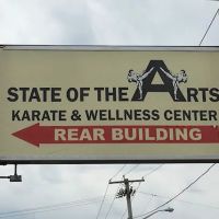 State of the Arts Karate and Wellness Center ico