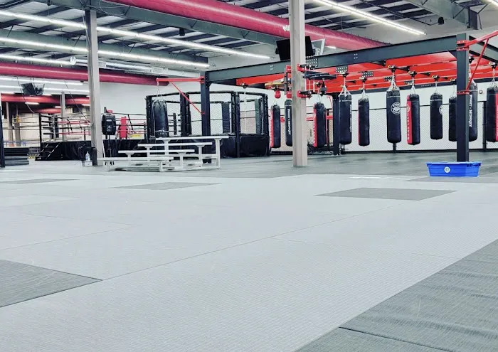 SBY MMA AND FITNESS / SOUTHSIDE BJJ ACADEMY Picture 2