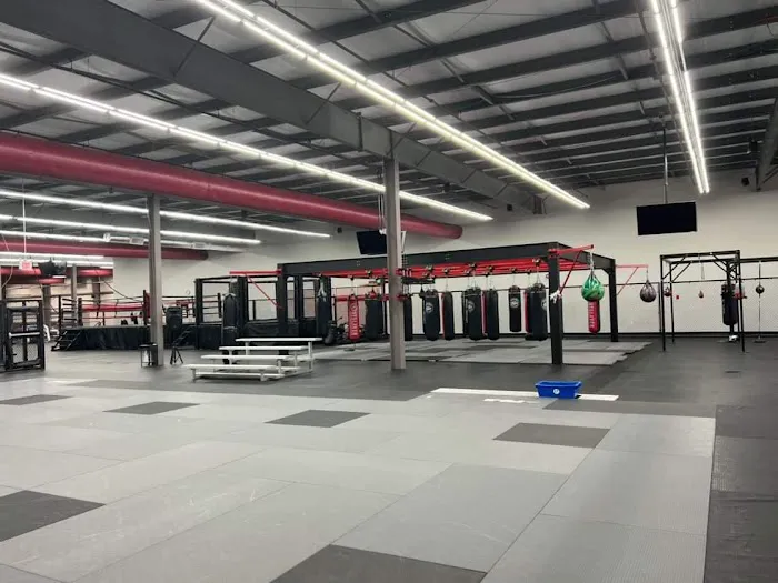 SBY MMA AND FITNESS / SOUTHSIDE BJJ ACADEMY Picture 6