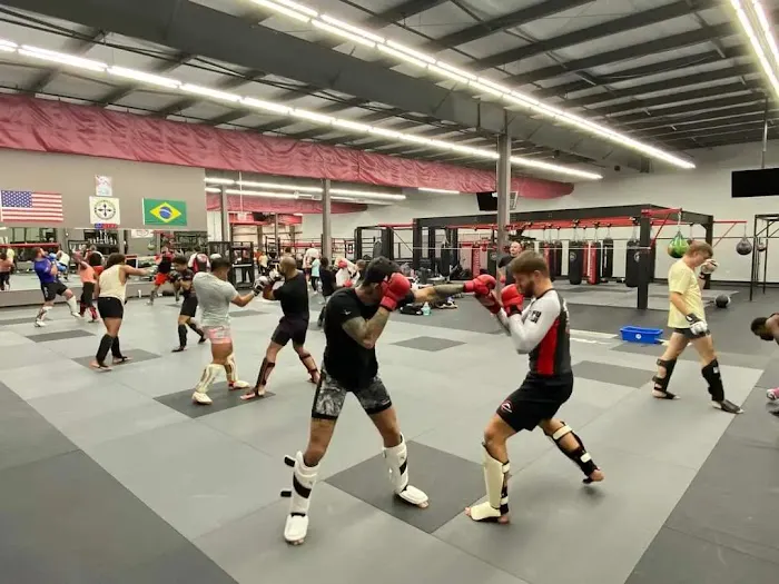 SBY MMA AND FITNESS / SOUTHSIDE BJJ ACADEMY Picture 8