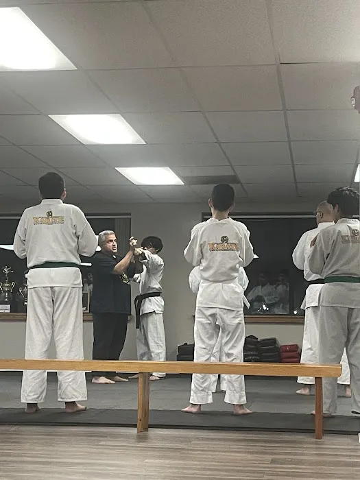 Stratford Shotokan Karate Picture 10