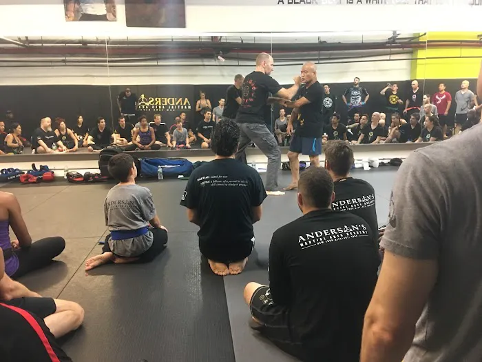 Anderson's Martial Arts Academy Picture 3