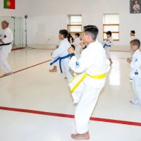 American Top Team Connecticut BJJ, MMA, Muay Thai Danbury, CT ico