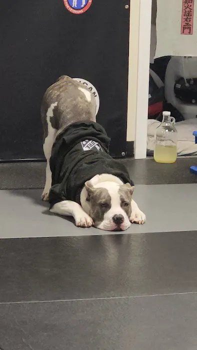 American Top Team Connecticut BJJ, MMA, Muay Thai Danbury, CT Picture 8