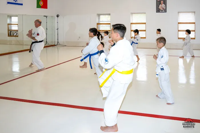 Kanreikai Karate of Connecticut Picture 3