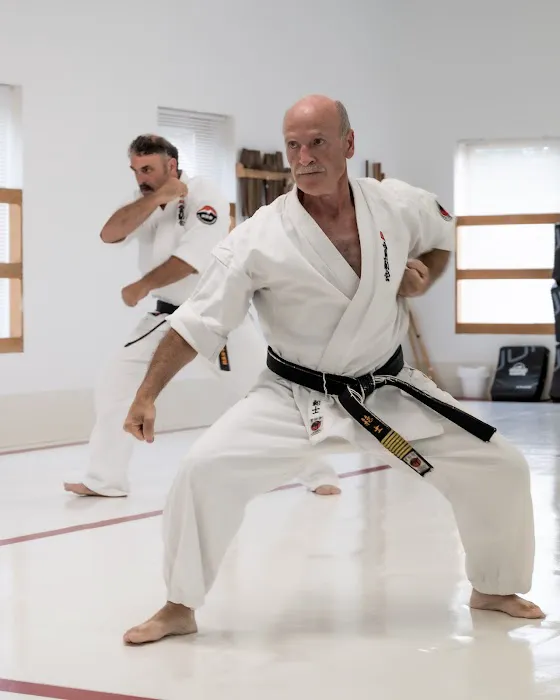 Kanreikai Karate of Connecticut Picture 9