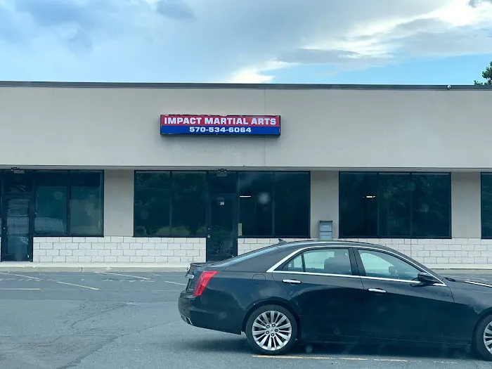 Impact Martial Arts Picture 10