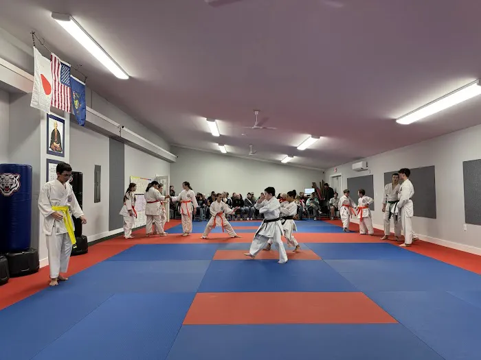 Method Karate & Gymnastics Picture 4
