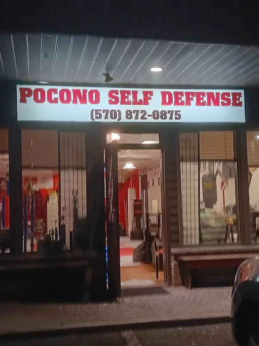 Pocono Self Defense School Picture 8
