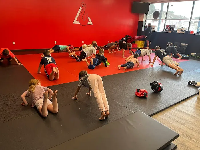 The MMA Collective Picture 3