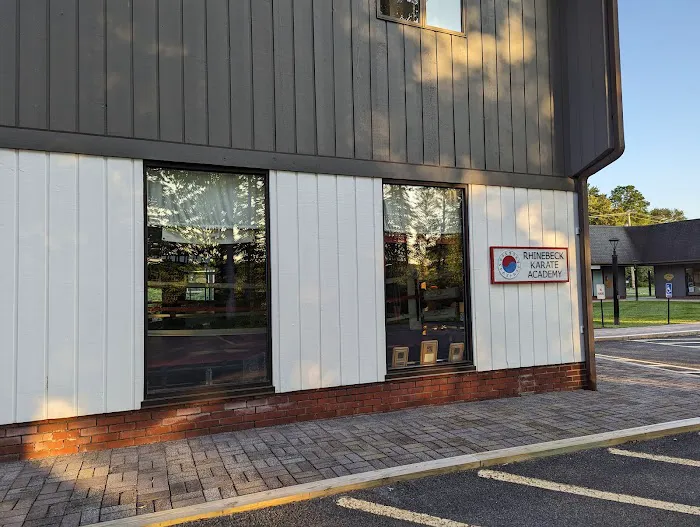 Rhinebeck Karate Academy Picture 1