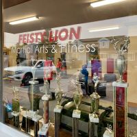 FEISTY LION Martial Arts & Fitness Studio ico