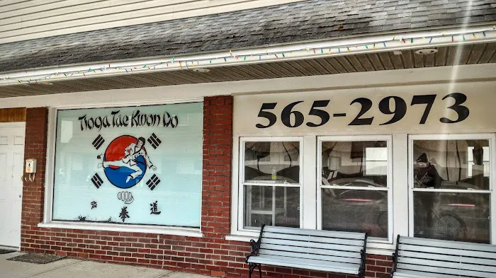 Tioga Taekwondo Picture 5