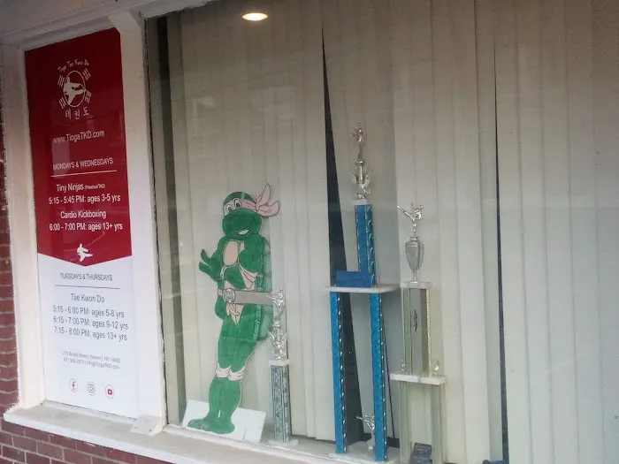 Tioga Taekwondo Picture 3