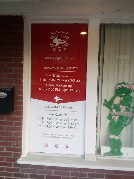 Tioga Taekwondo Picture 4