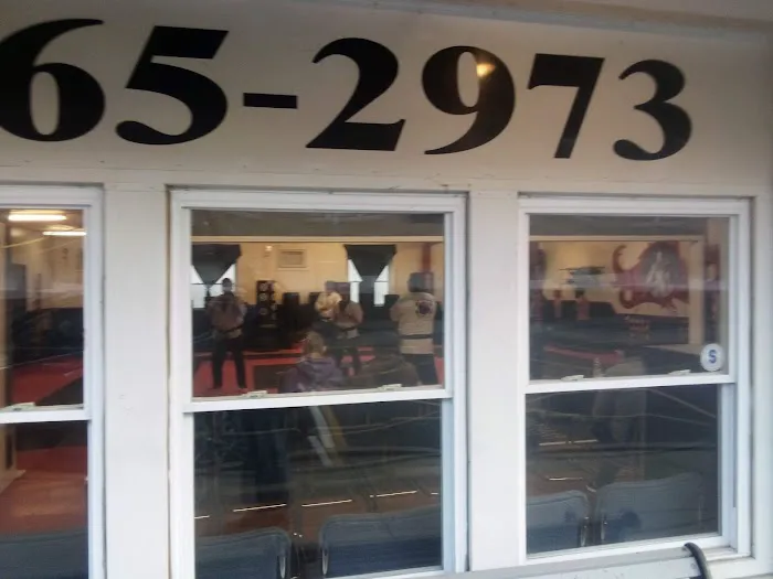 Tioga Taekwondo Picture 1