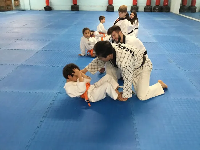 Chung Choi's Tae Kwon Do Academy Picture 3