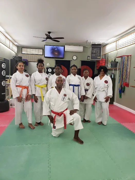 Okinawa Karate Kobudo Kai Picture 9