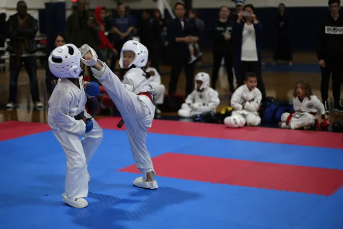 Okinawa Karate Kobudo Kai Picture 6