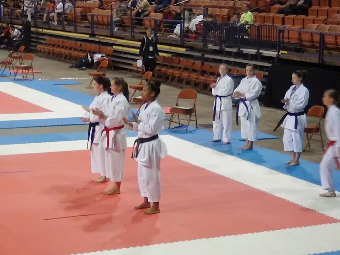 Okinawa Karate Kobudo Kai Picture 1