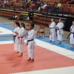 Okinawa Karate Kobudo Kai