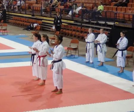 Okinawa Karate Kobudo Kai