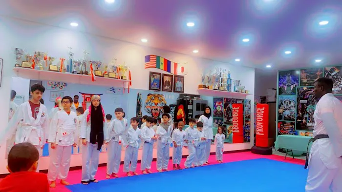 EGN International Karate & Fitness Center (Elmont) Picture 5