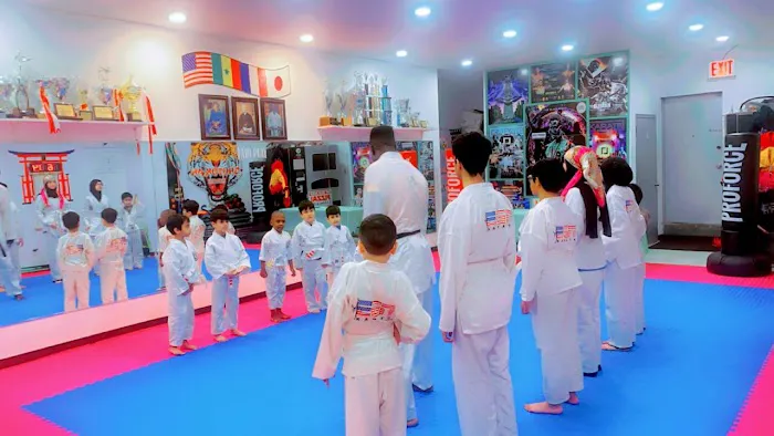 EGN International Karate & Fitness Center (Elmont) Picture 8