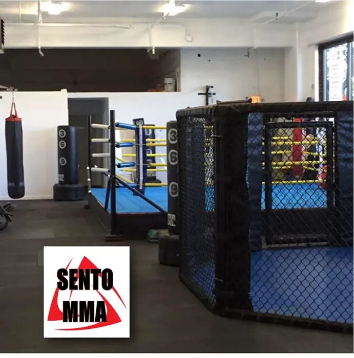 Sento Mixed Martial Arts Academy Picture 3