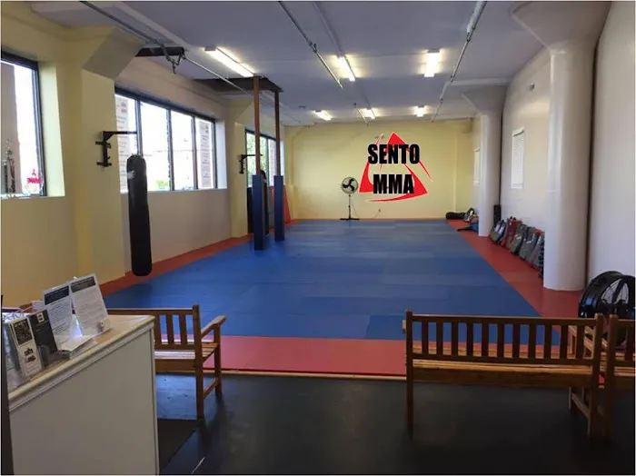 Sento Mixed Martial Arts Academy Picture 2